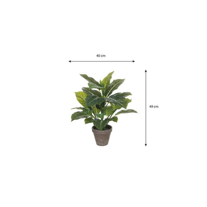 Artificial plant Evergreen Green