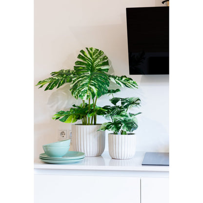 Monstera Artificial plant 75cm