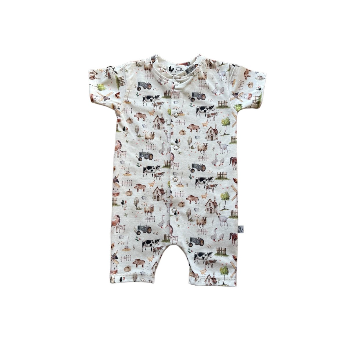 Boxpack Summer Countryside