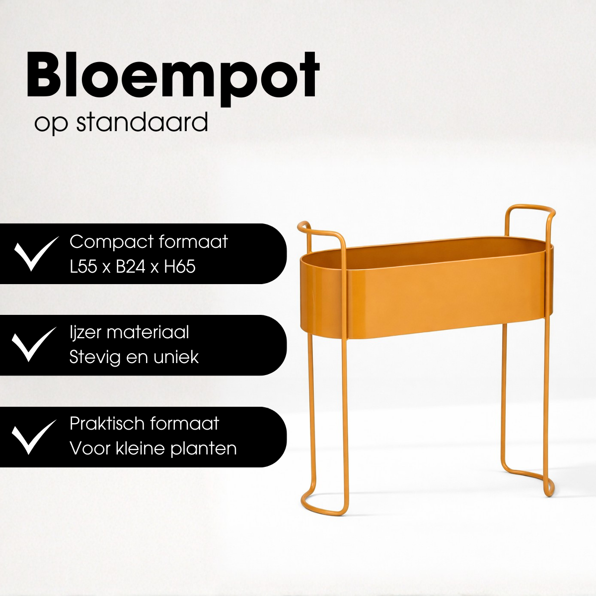 Flowerpot inside Moritz Brown