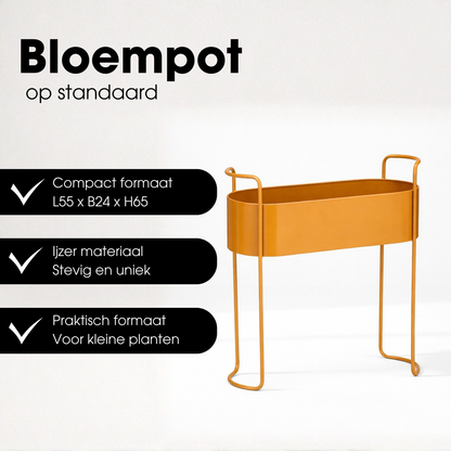 Flowerpot inside Moritz Brown