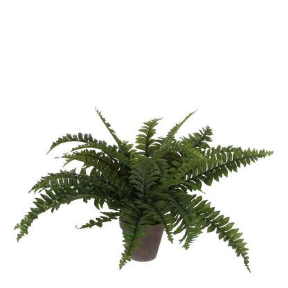 Artificial plant Boston fern Green