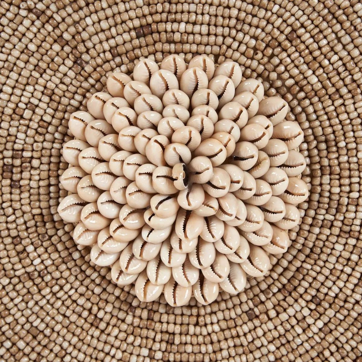 The Shell Guadeloupe on Stand - Natural White