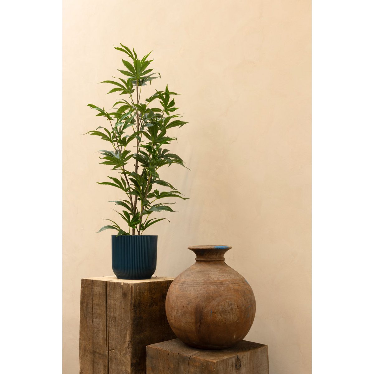 Aralia Kunstplant 100cm