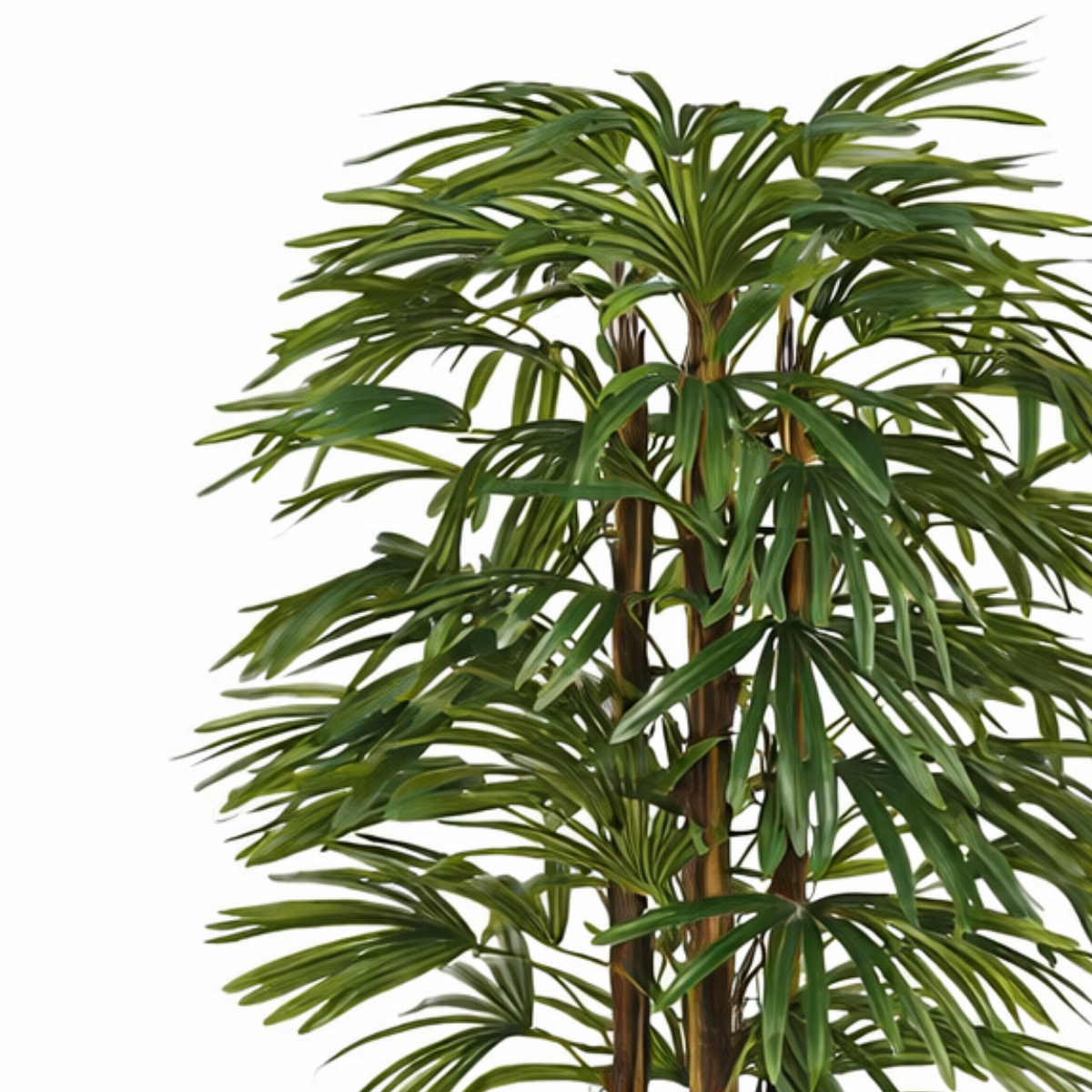 Artificial plant Raphis Palm Green
