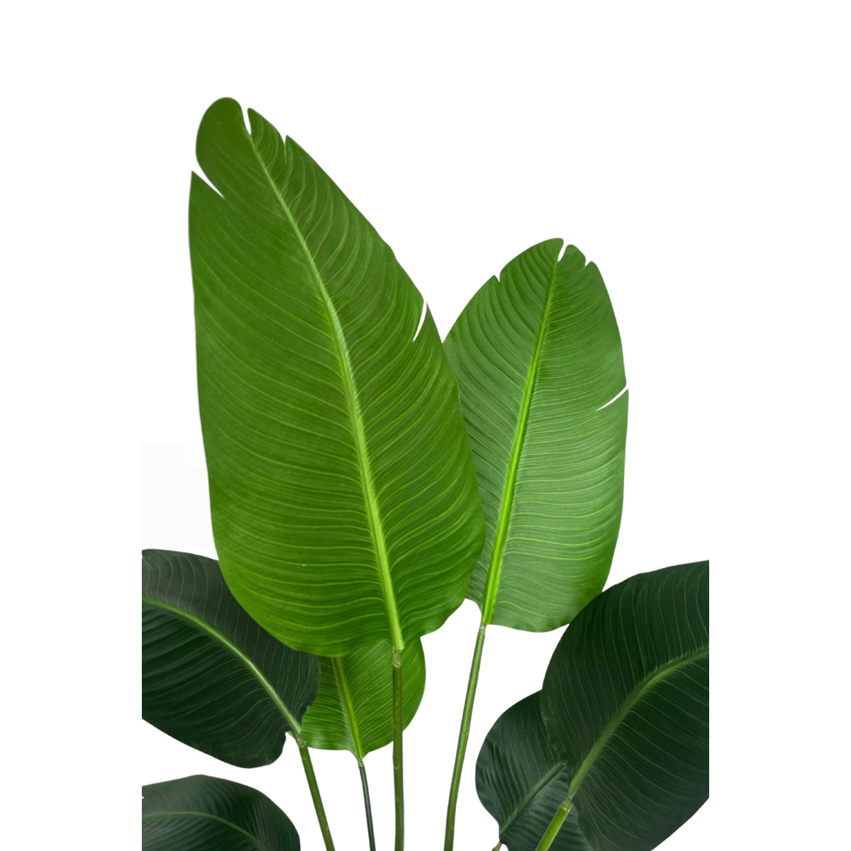 Artificial Strelitzia Plant 120cm