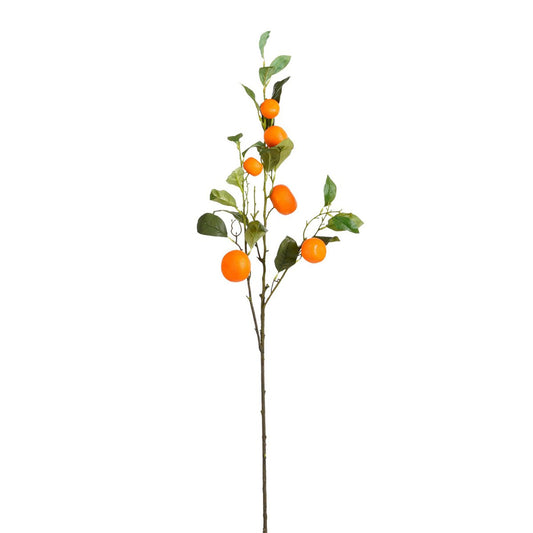 Art branch Orange