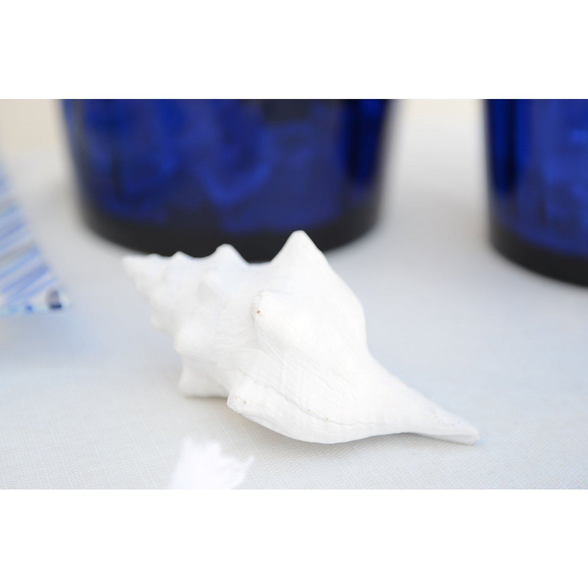 Decorative white shell 12.5x7x5cm