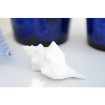 Decorative white shell 12.5x7x5cm