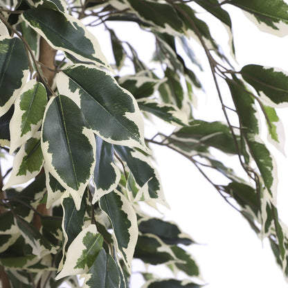 Artificial plant Ficus Green