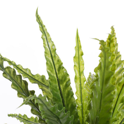 Artificial plant Asplenium Green