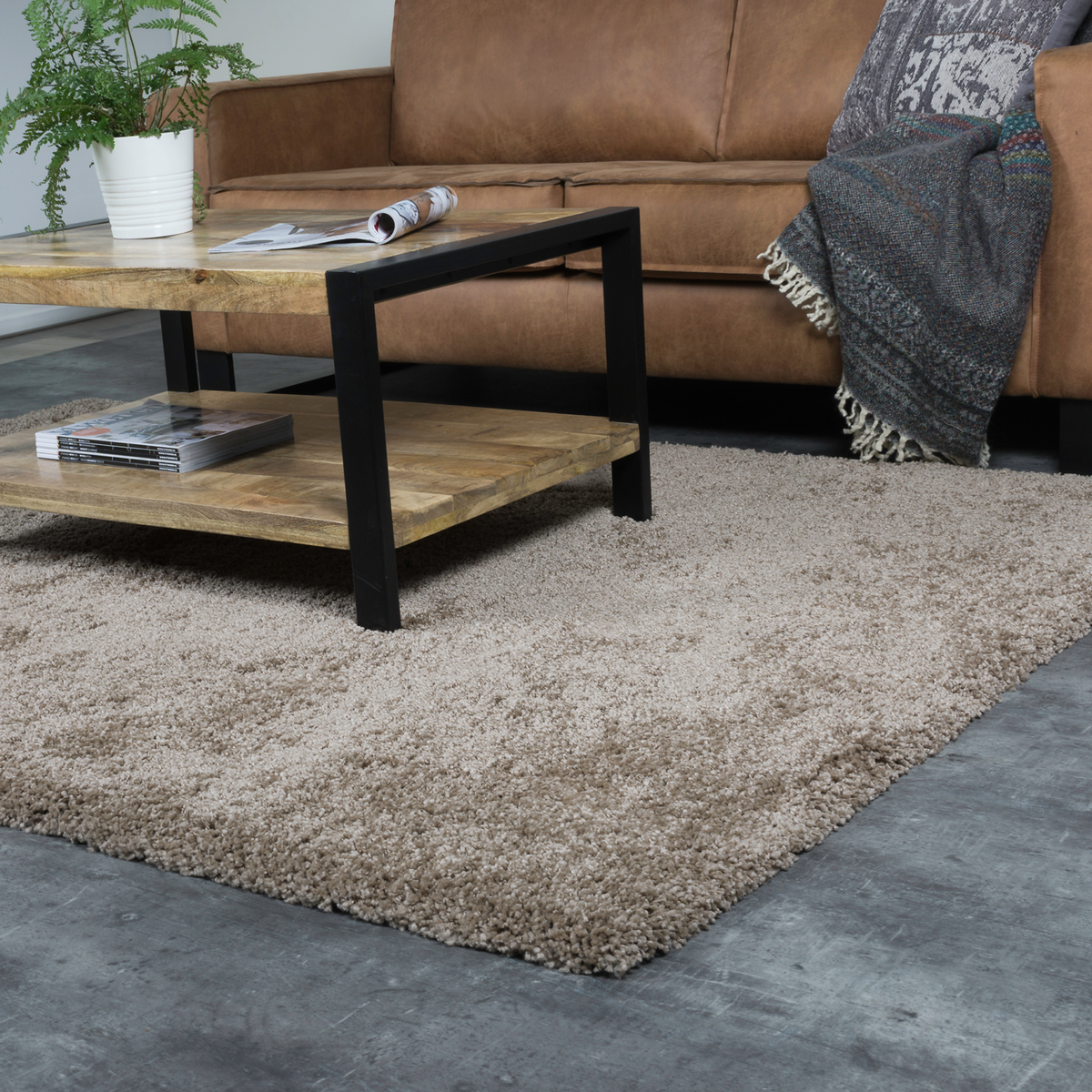 Carpet Milano Bruin 300 x 400 cm