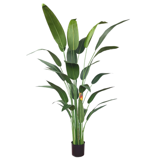 Artificial Strelitzia Plant With Flower 180cm