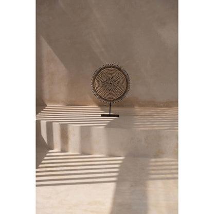 The Shell Martinique on Stand - Natural White