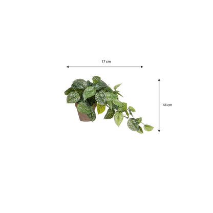 Artificial hanging plant Scindapsus Green