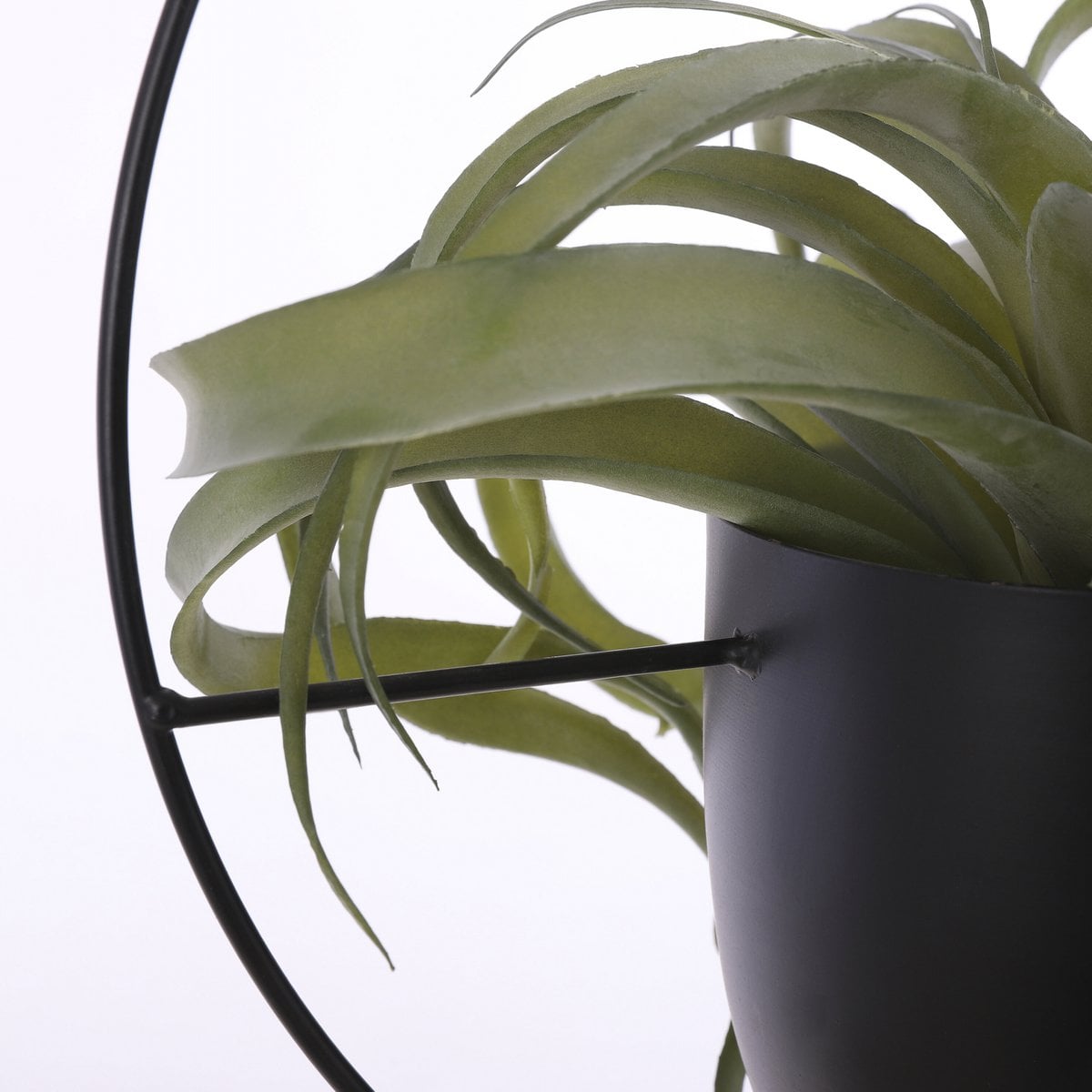 Flowerpot hanging inside Dexter Black
