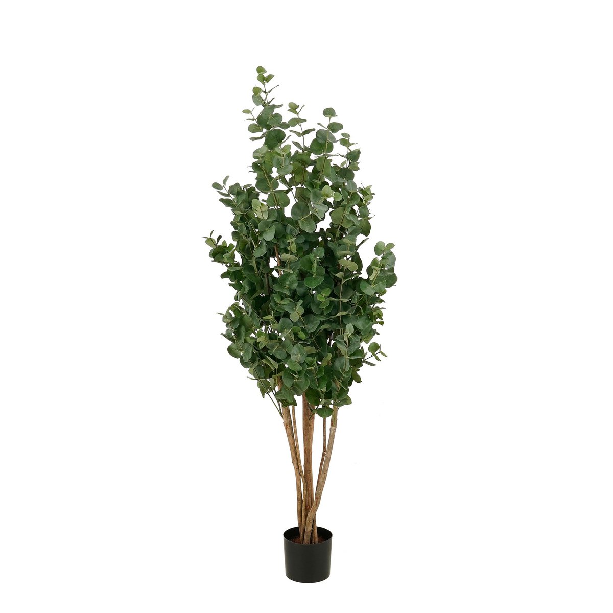 Artificial plant Eucalyptus tree Green