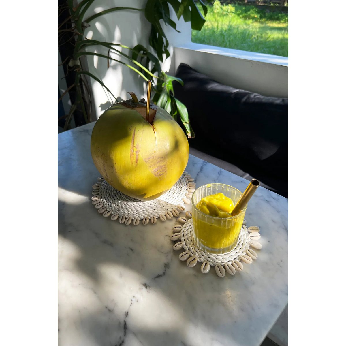 The Seagrass Shell Coaster - White