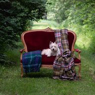 Wool Tartan Plaid TORRIDON HILLS