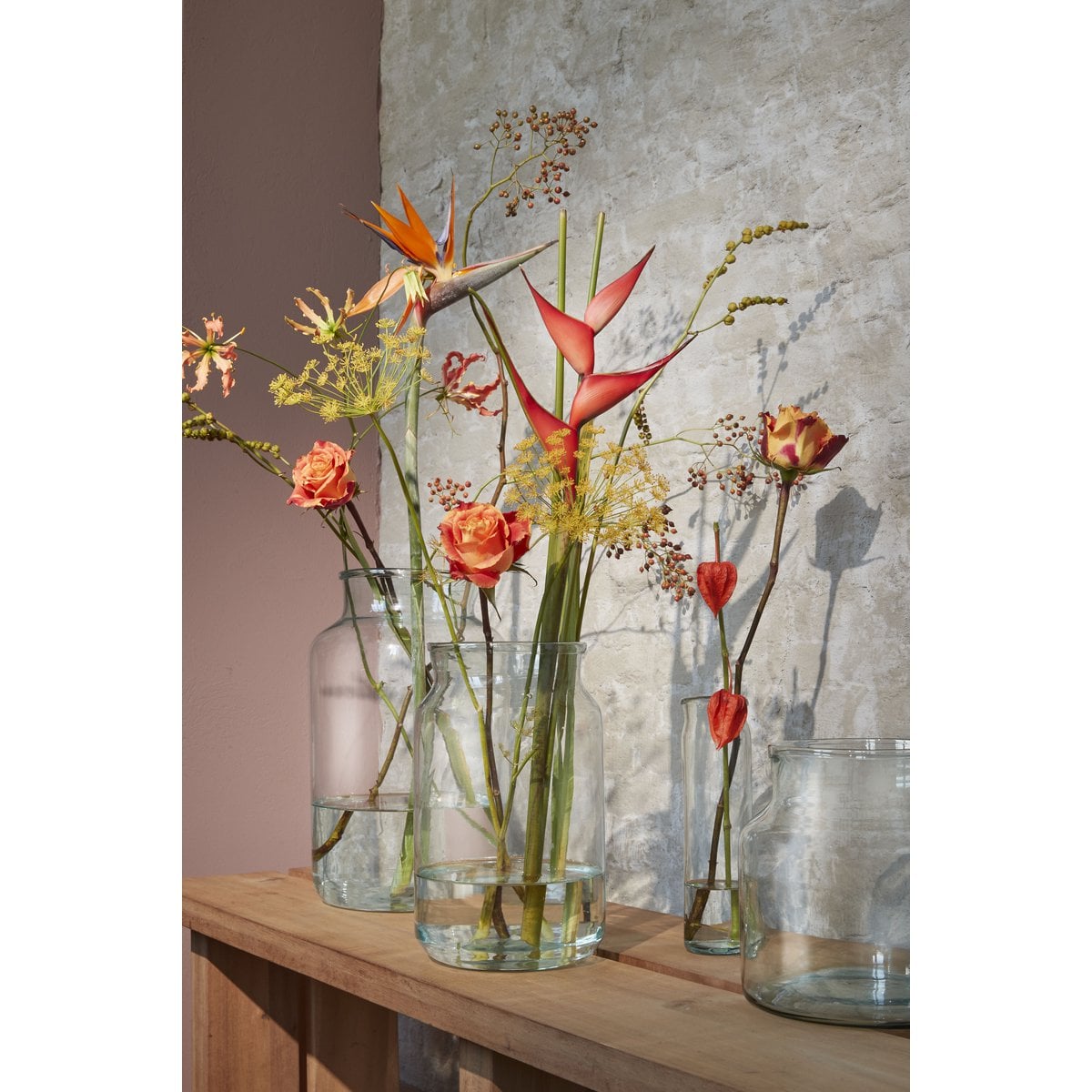 Vaas Vienna Transparent