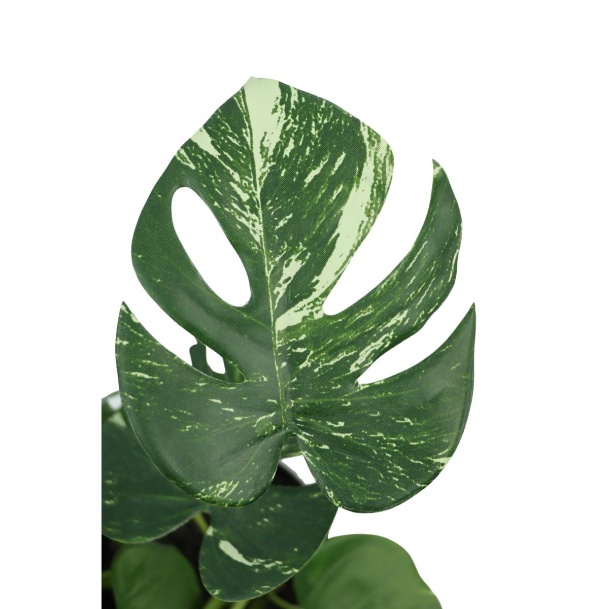 Monstera Artificial plant 40cm