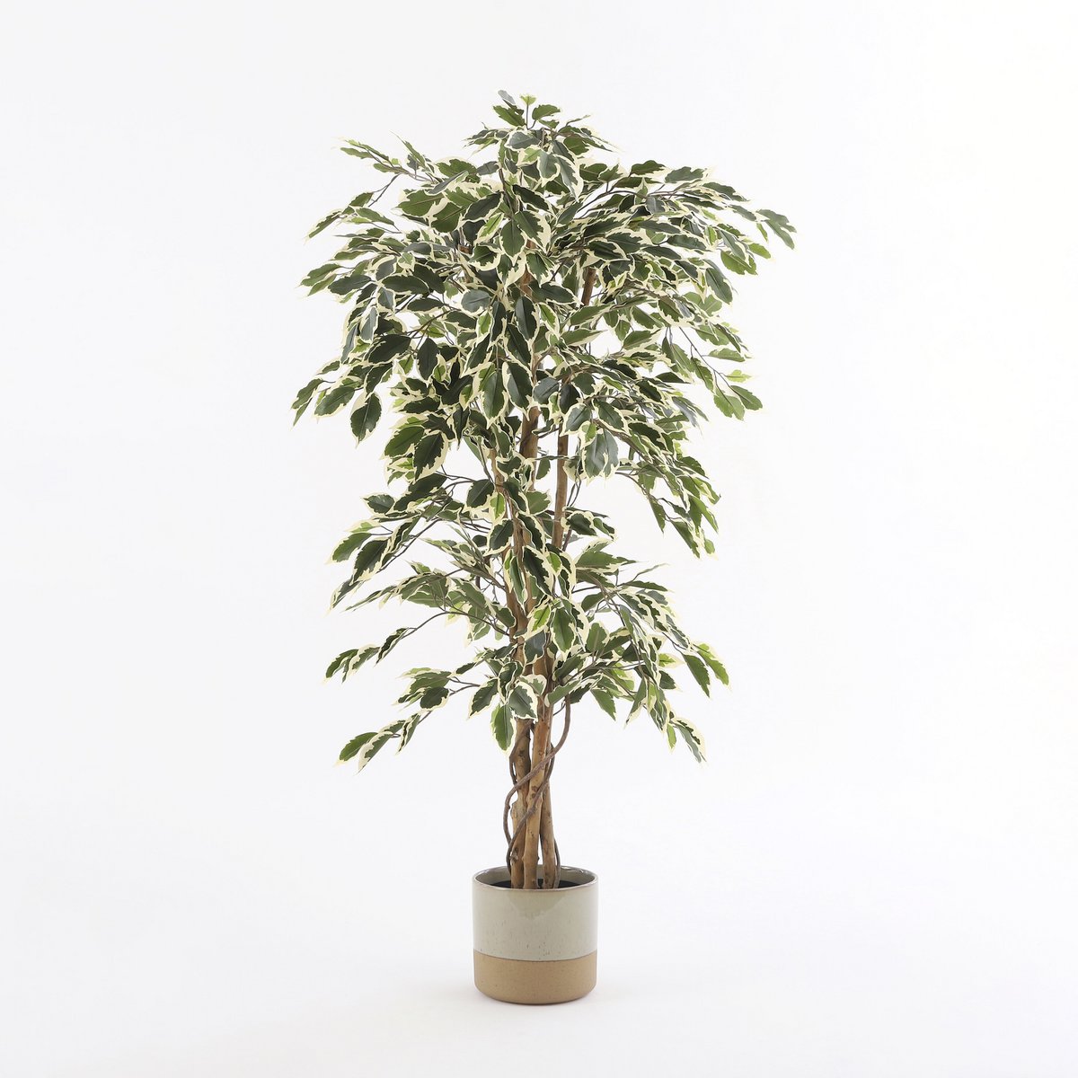 Artificial plant Ficus Green