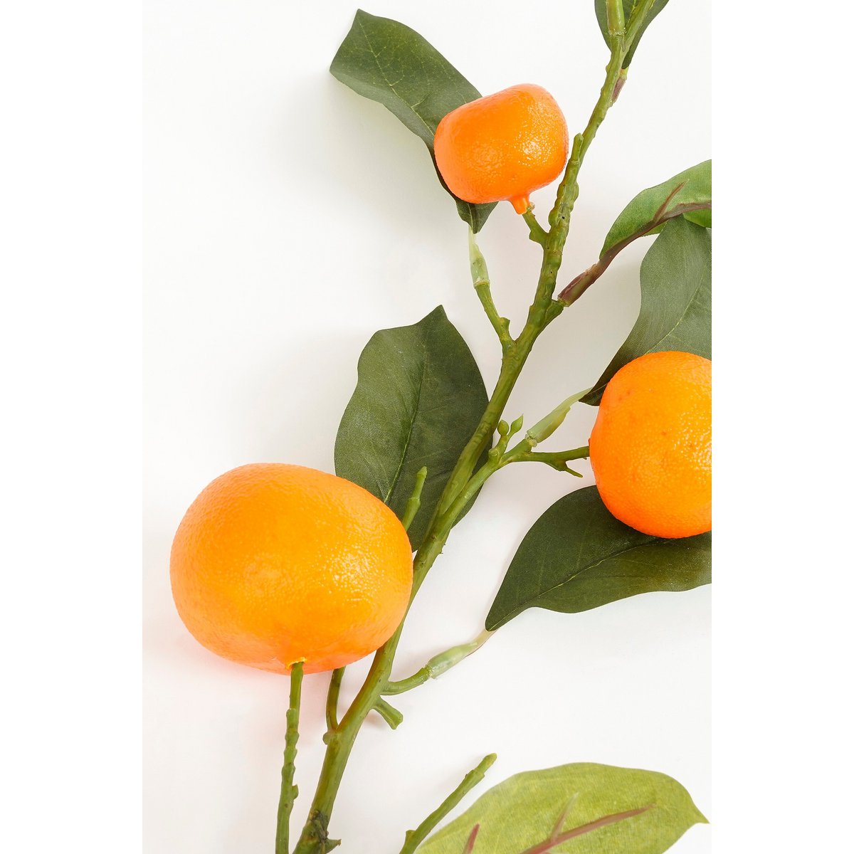 Art branch Orange