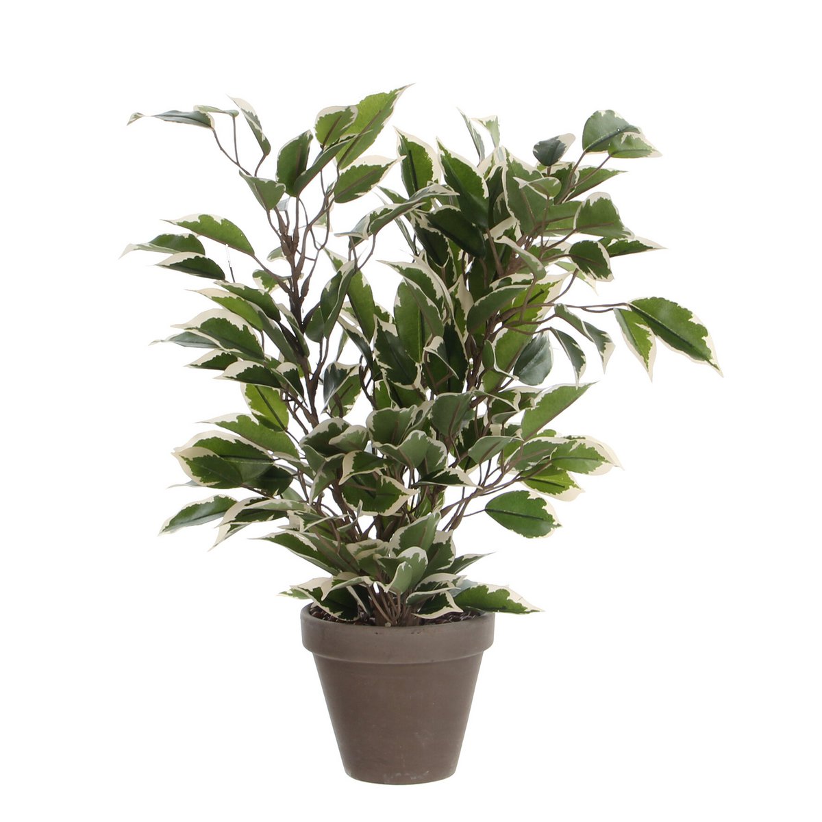Artificial plant Ficus natasja Green