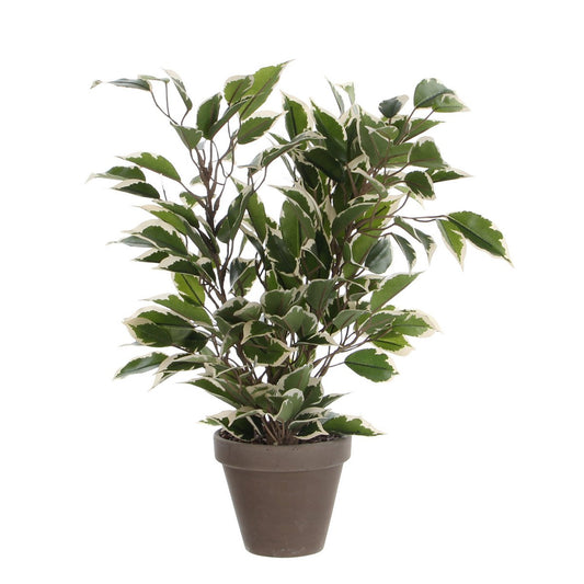 Artificial plant Ficus natasja Green