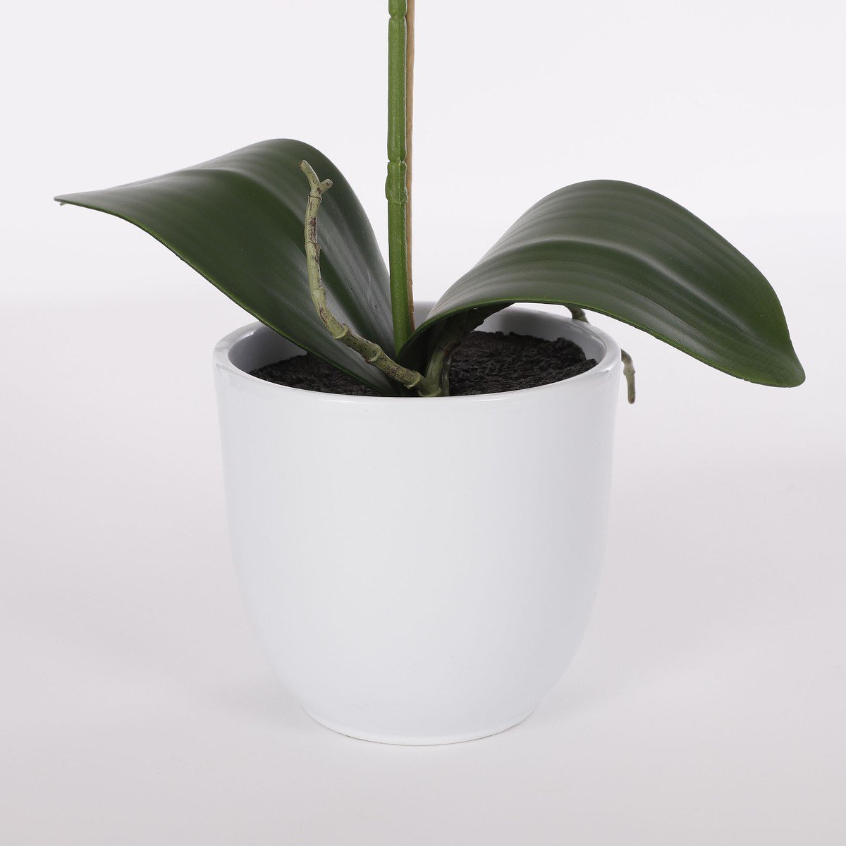 Artificial plant Phalaenopsis Purple