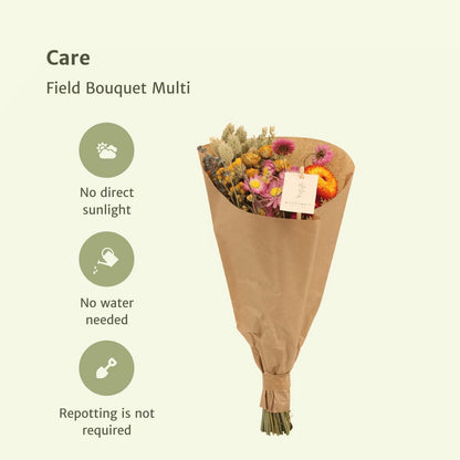 12x Field Bouquet Multi - Droogboeket - 35cm