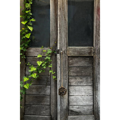 The Brown Cowrie Shell Tassel