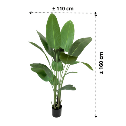 Artificial Strelitzia Plant 160cm