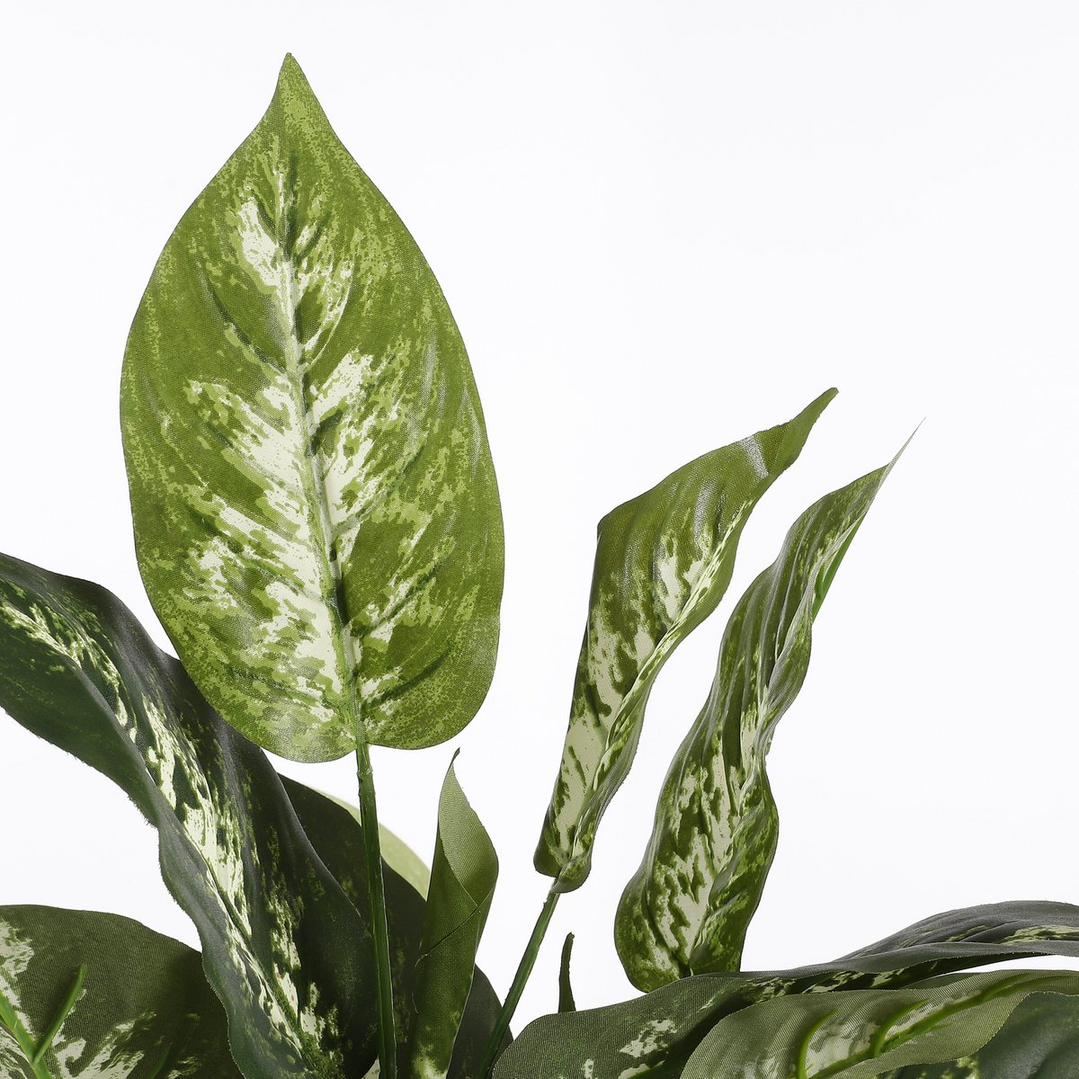 Artificial plant Dieffenbachia Green