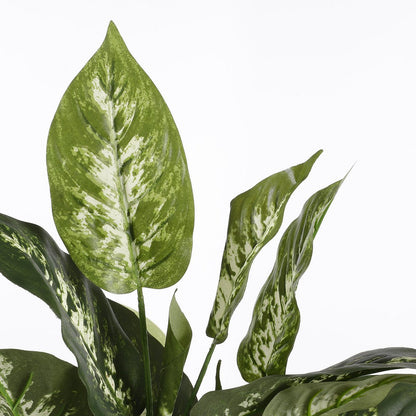 Artificial plant Dieffenbachia Green