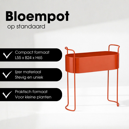 Flowerpot inside Moritz Red
