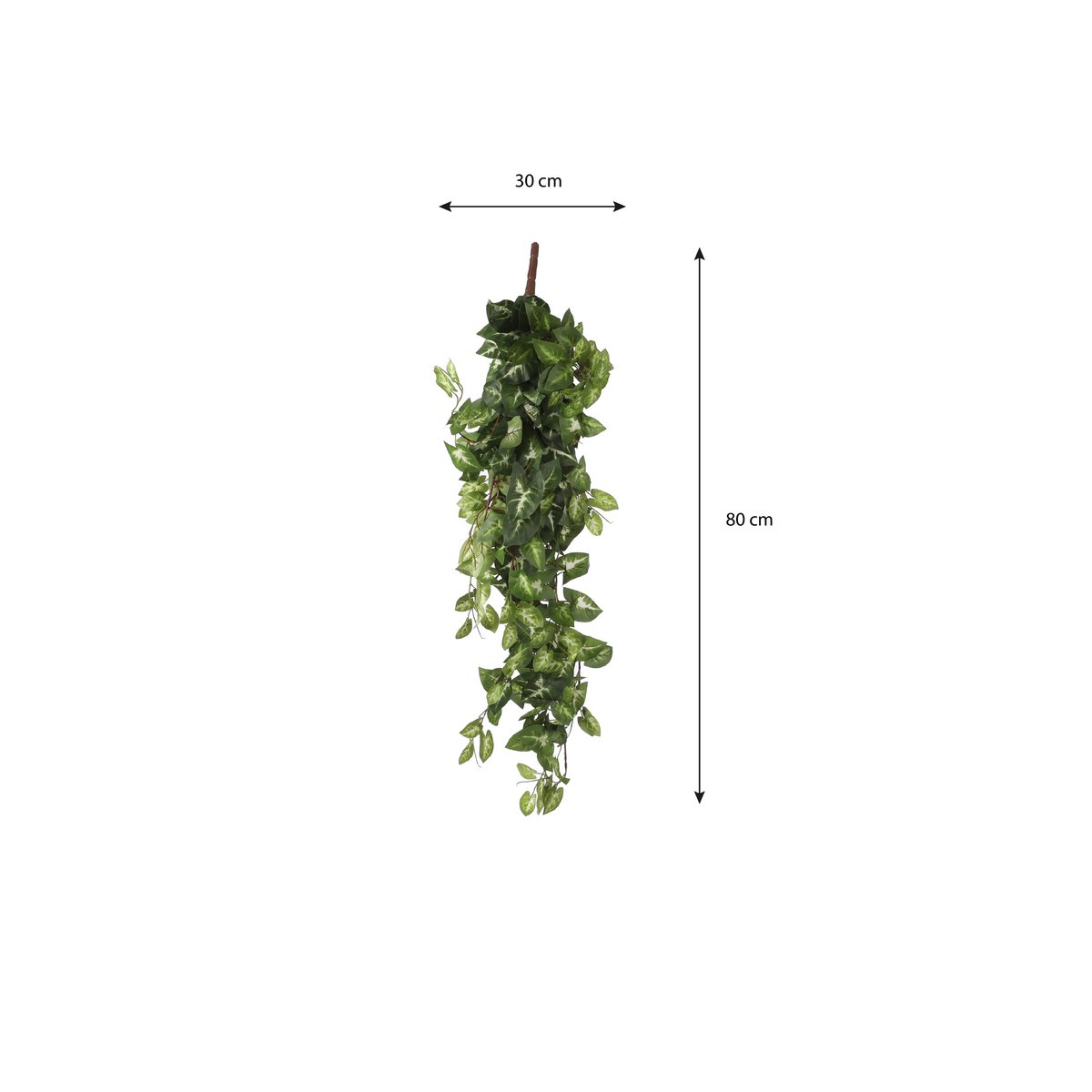Artificial hanging plant Fittonia Green