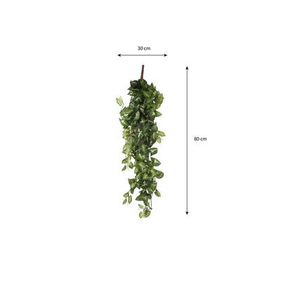 Artificial hanging plant Fittonia Green