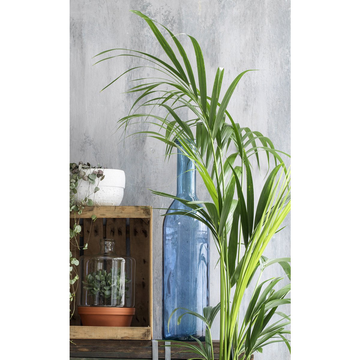 Decorative bottle of Rioja Light Blue