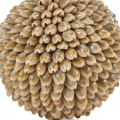 The Oluolu Shell Ball - L