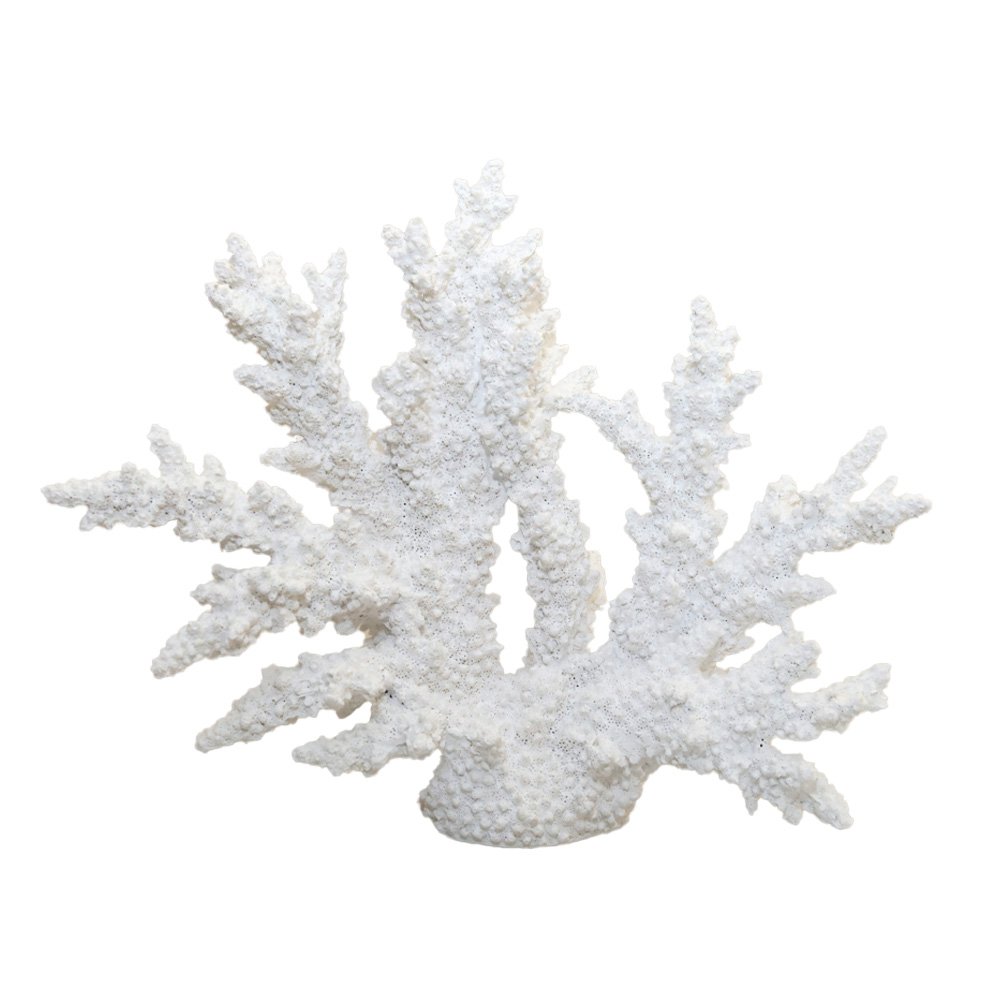 White Coral Decorative 34x13x27cm