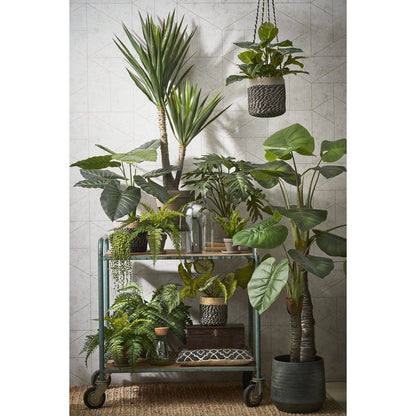 Kunstplant Yucca Cream