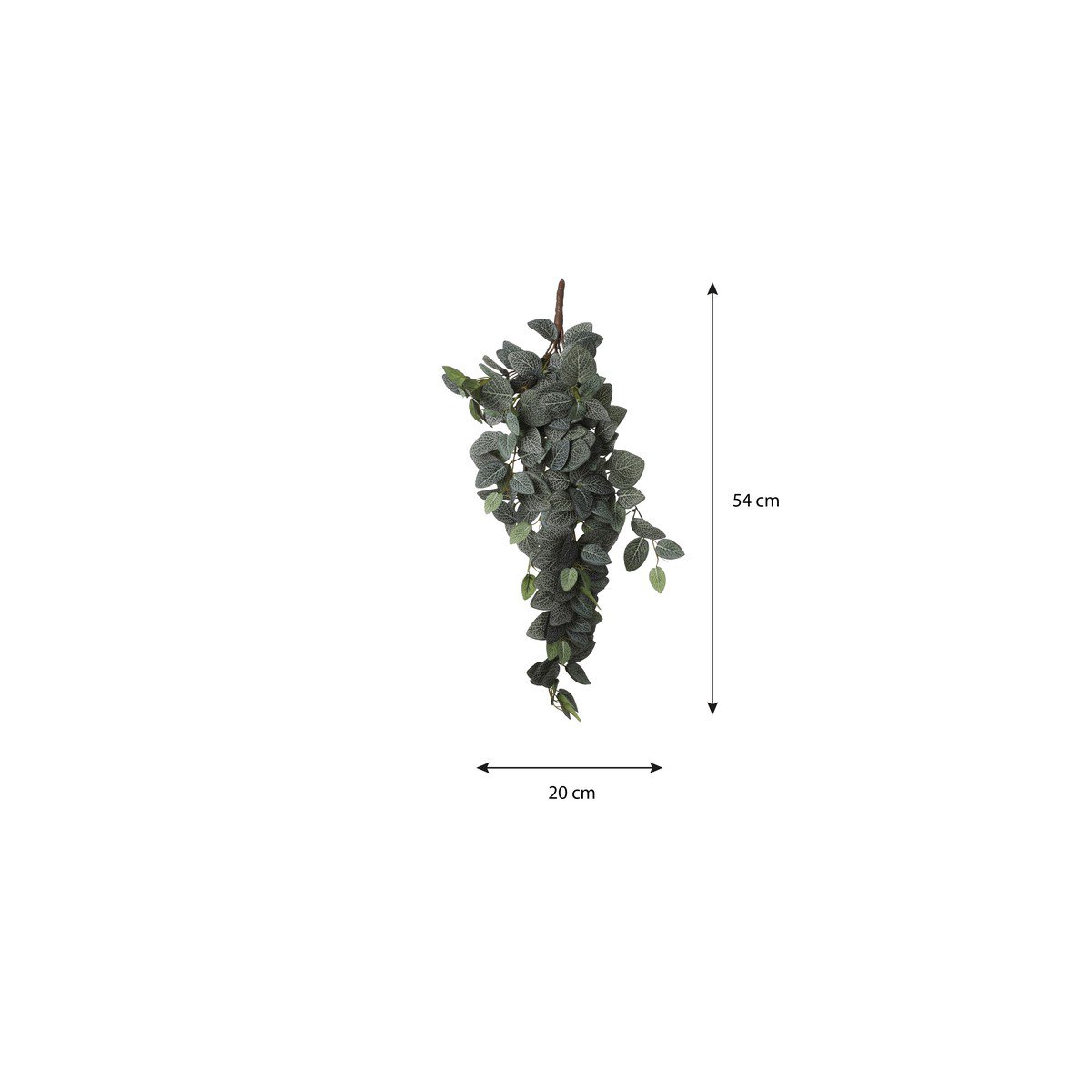 Artificial hanging plant Fittonia Green