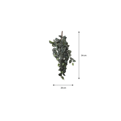 Artificial hanging plant Fittonia Green