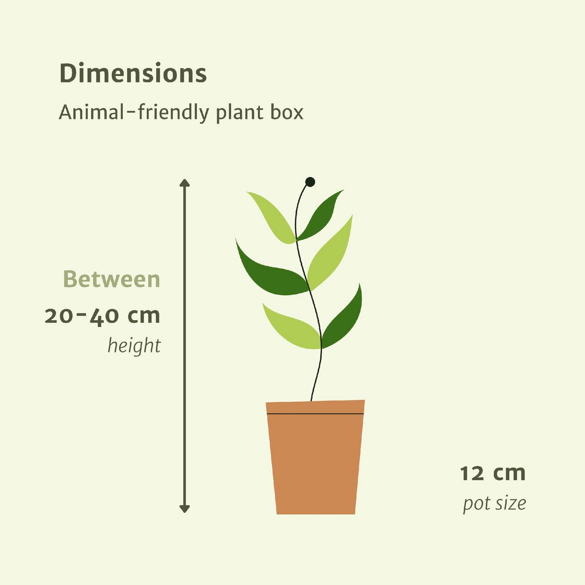 Animal-friendly plant box - 4 houseplants - Ø12cm - Various heights