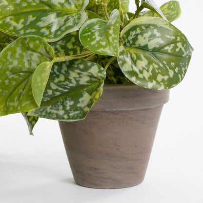 Artificial hanging plant Scindapsus Green