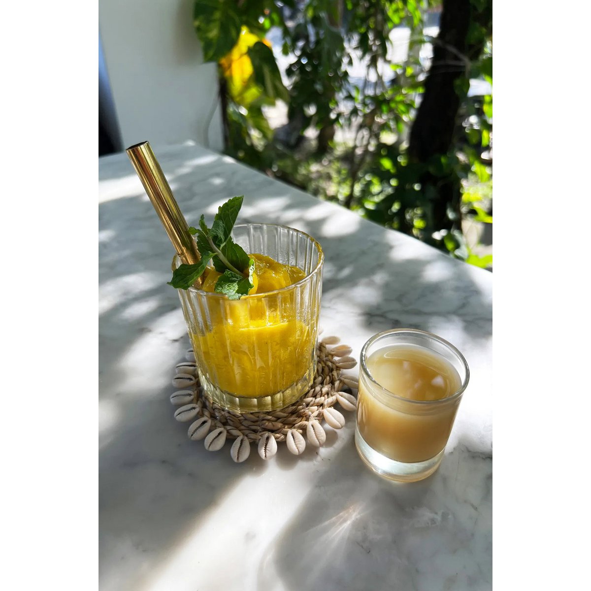 The Seagrass Shell Coaster - Natural