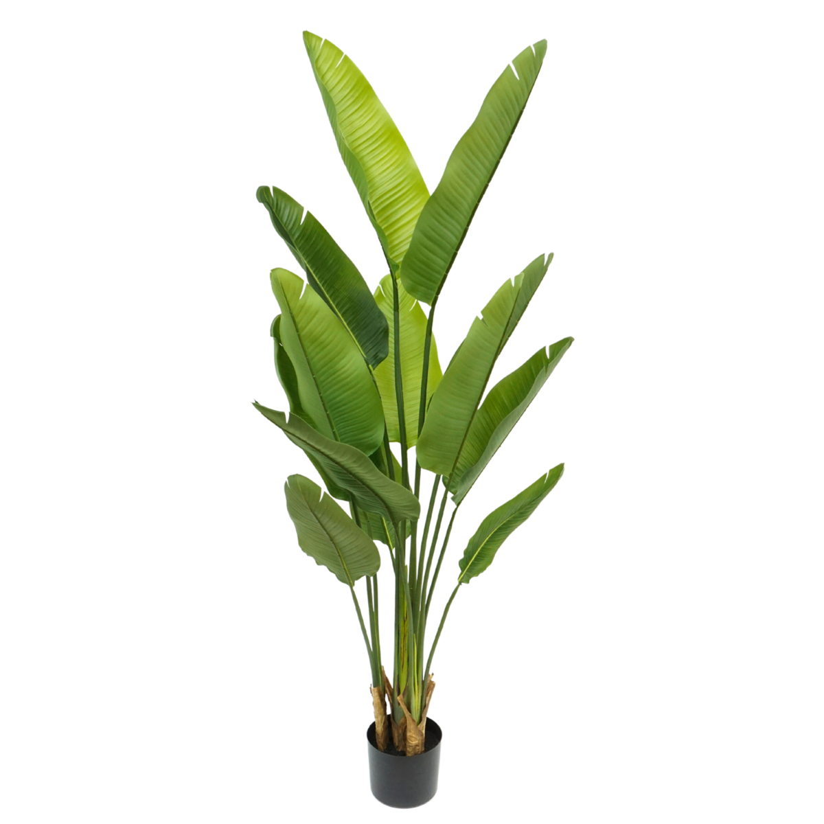 Strelitzia Artificial Plant 160cm