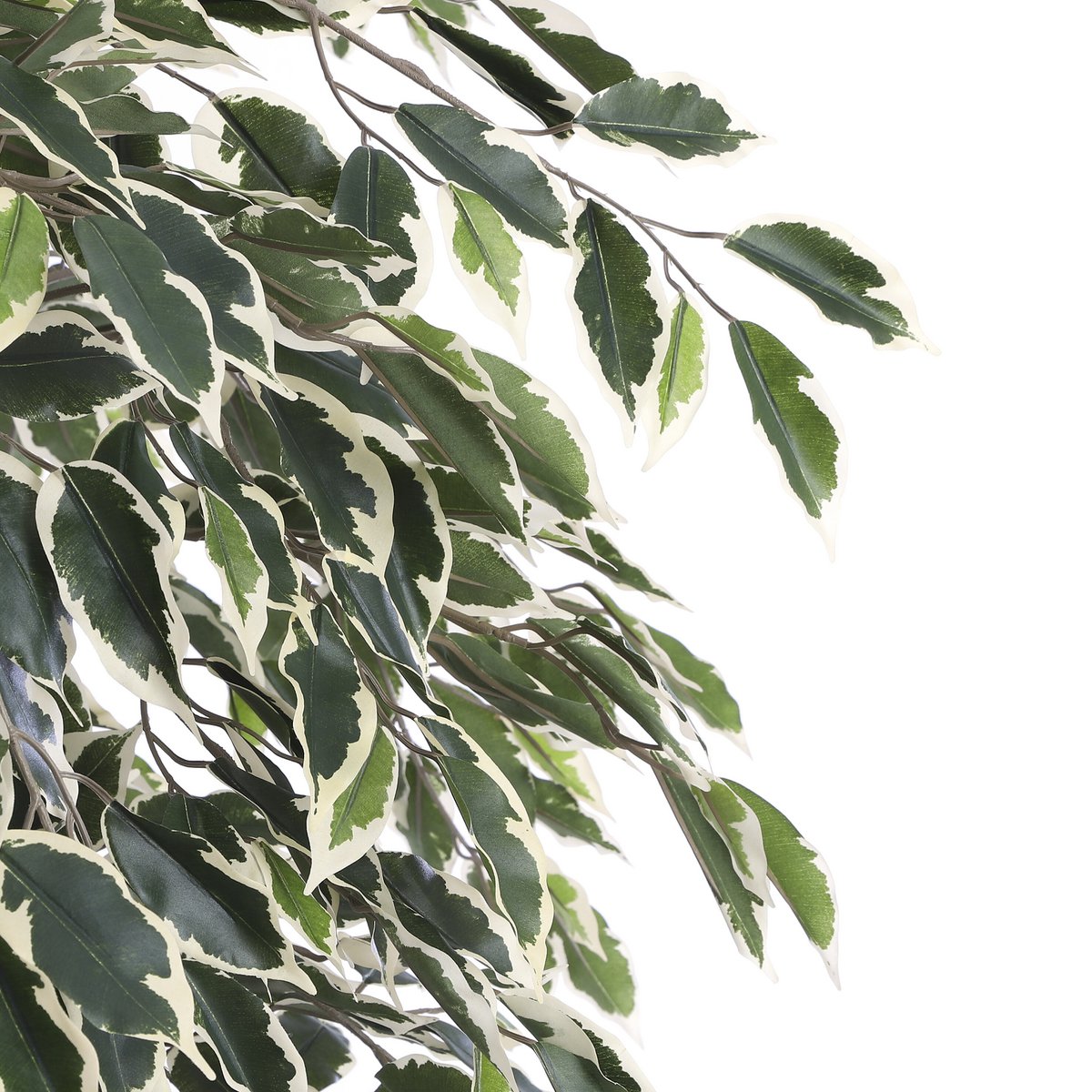 Artificial plant Ficus Green
