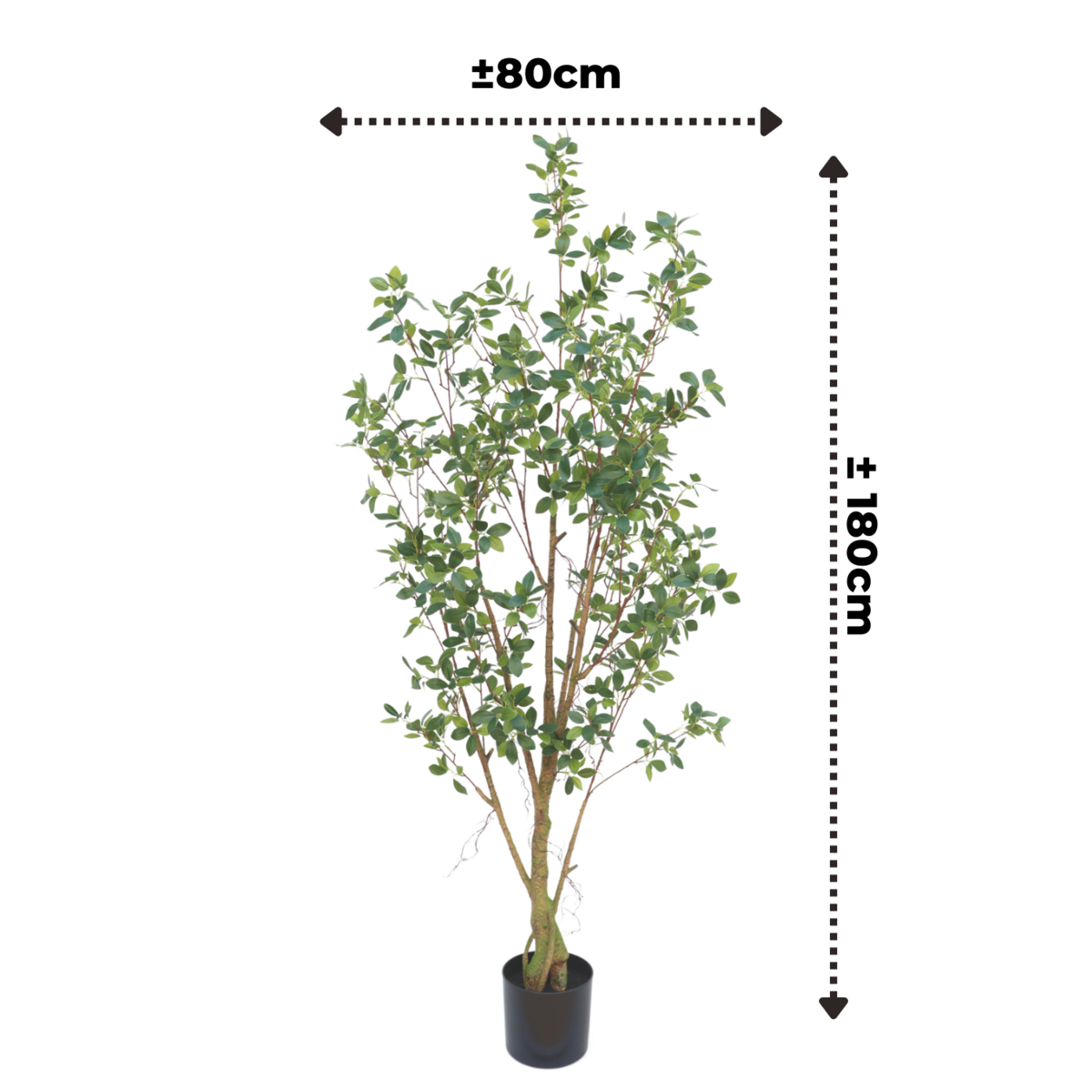 Ficus Artificial plant 180cm